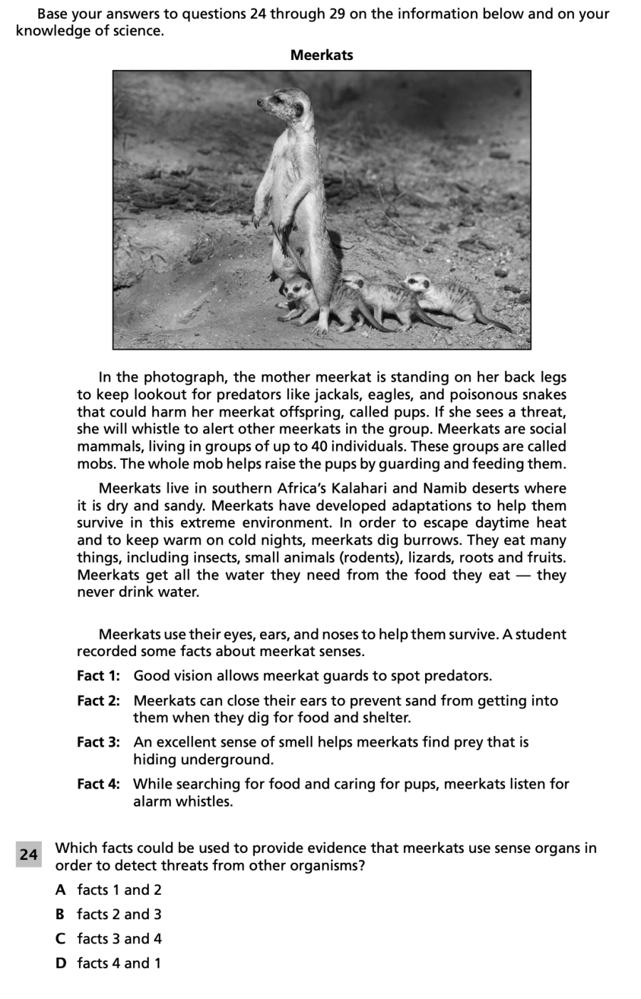 Spring 2024 Grade 5 Science Test question 24, Meerkats cluster