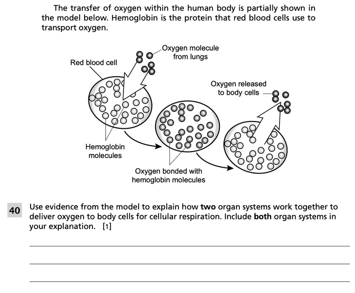 Question 2