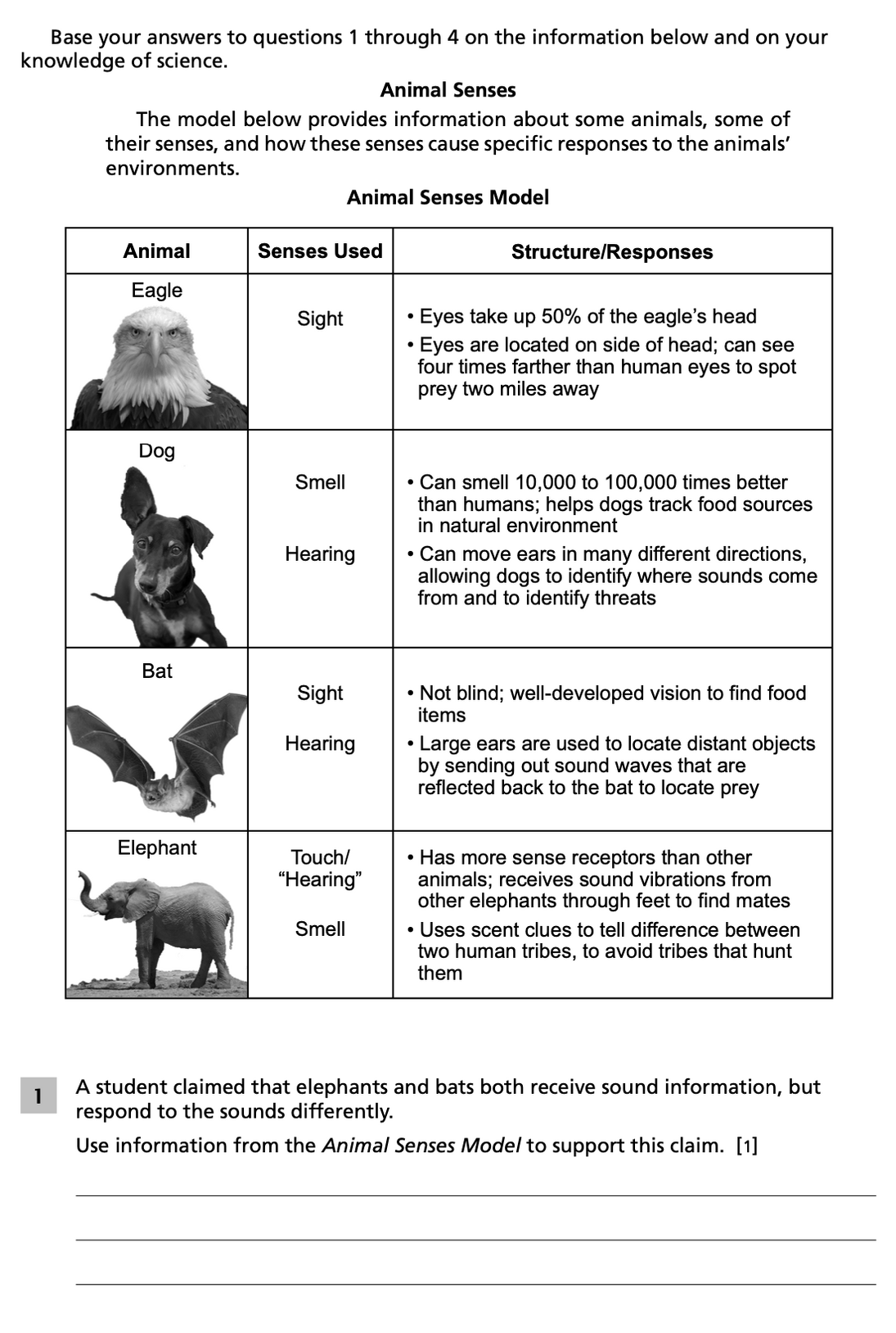 Animal Senses | NY Science Standards Wiki
