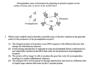 Prostaglandins 3.png