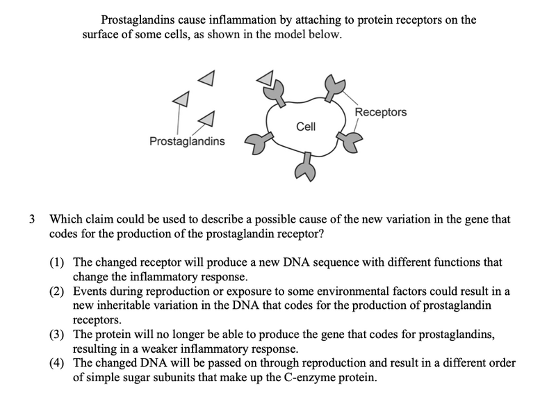File:Prostaglandins 3.png