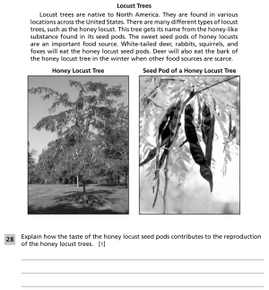 Spring 2026 5-6 Locust Trees Question 28.png