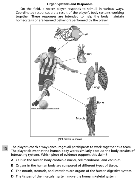 File:Organ systems and responses 1.png