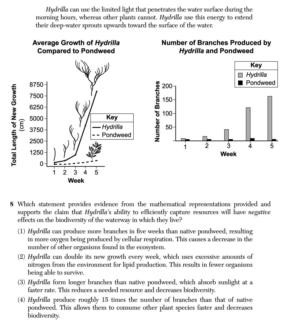 January 2026 Biology Regents question 8, Space Invader cluster