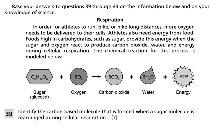 Question 1