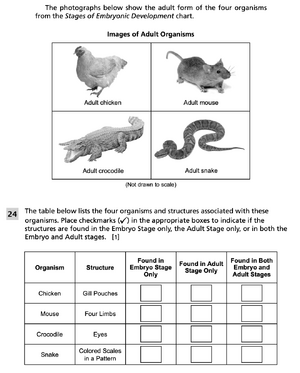 Evolutionary relationships 2.png
