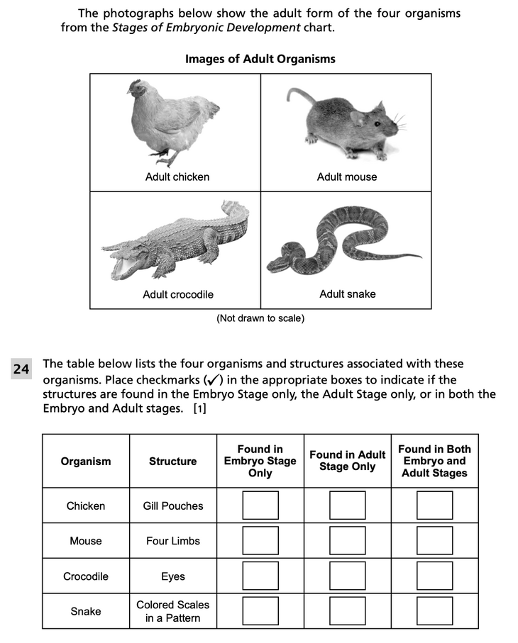 Question 2