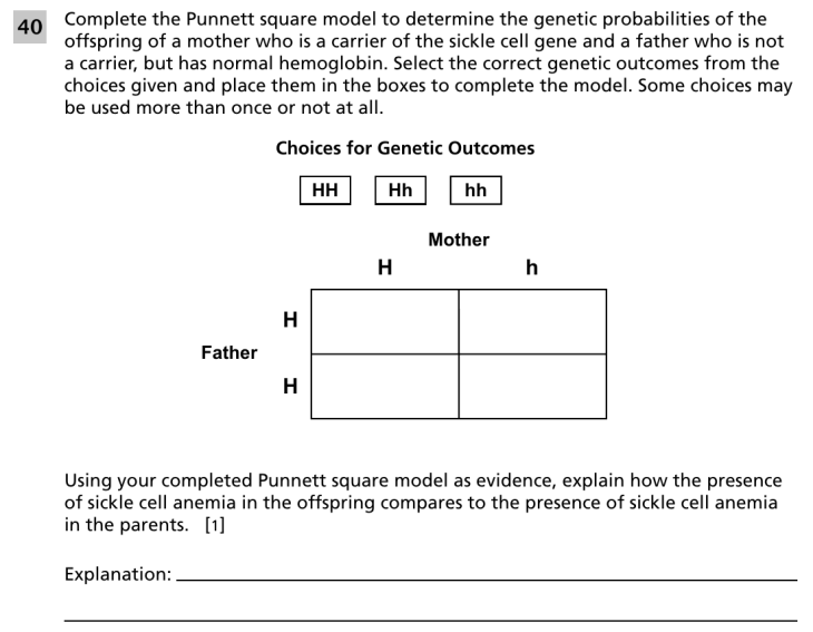 Question 4