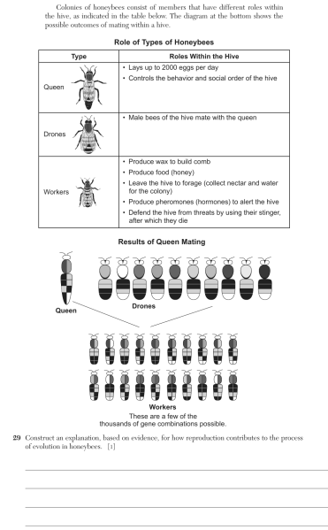File:Biology Ju26 29.png