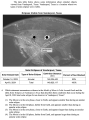 Thumbnail for version as of 19:04, 18 April 2025