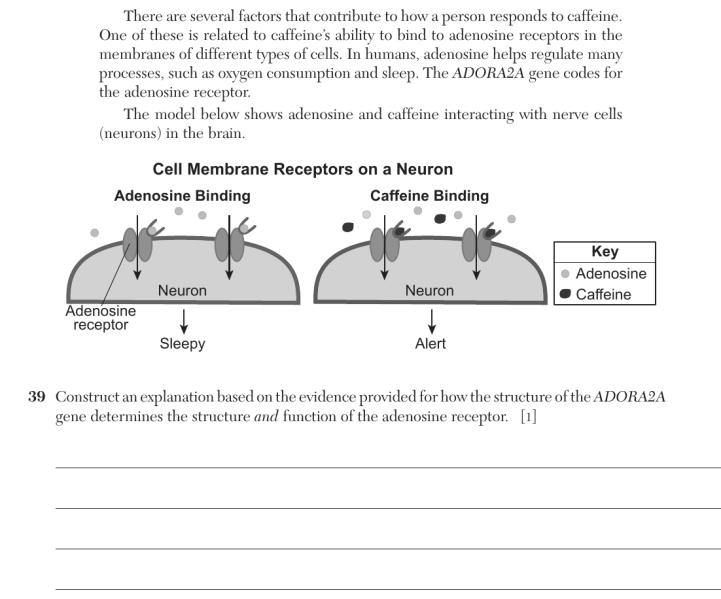 File:Biology Ju26 39.png