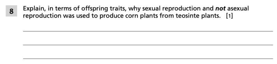 Spring 2024 Grade 8 Science Test question 8, Variation and Corn cluster