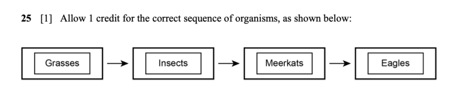 Answer key: Spring 2024 Grade 5 Science Test question 25, Meerkats cluster