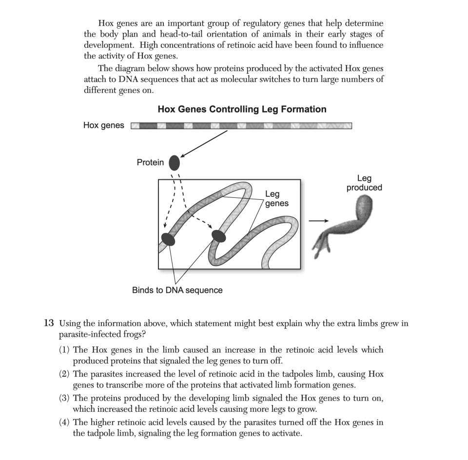 June 2025 Biology Regents question 13, Heads or Tails? cluster