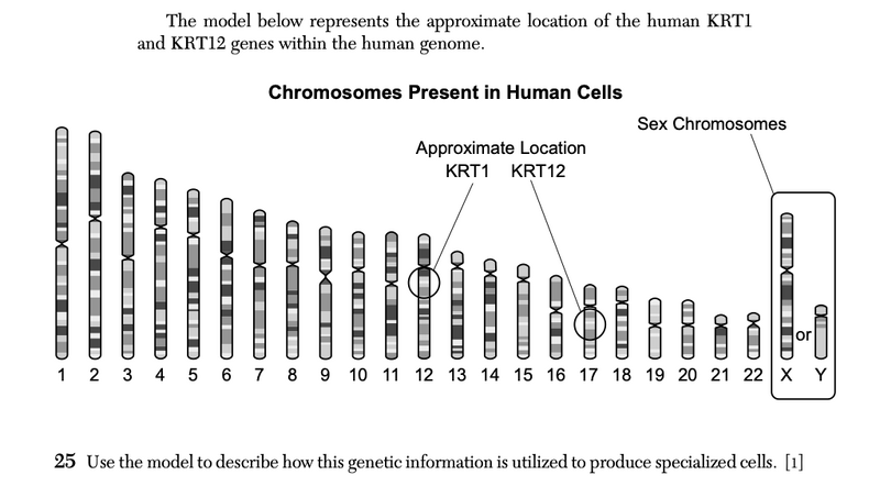 File:Biology Au25 25.png