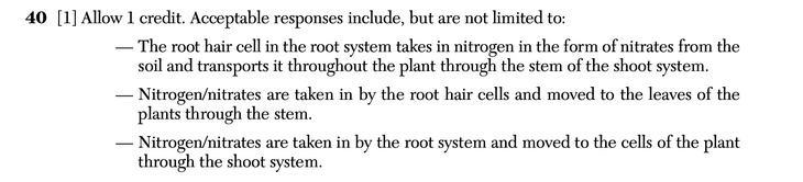 Answer to Question 4