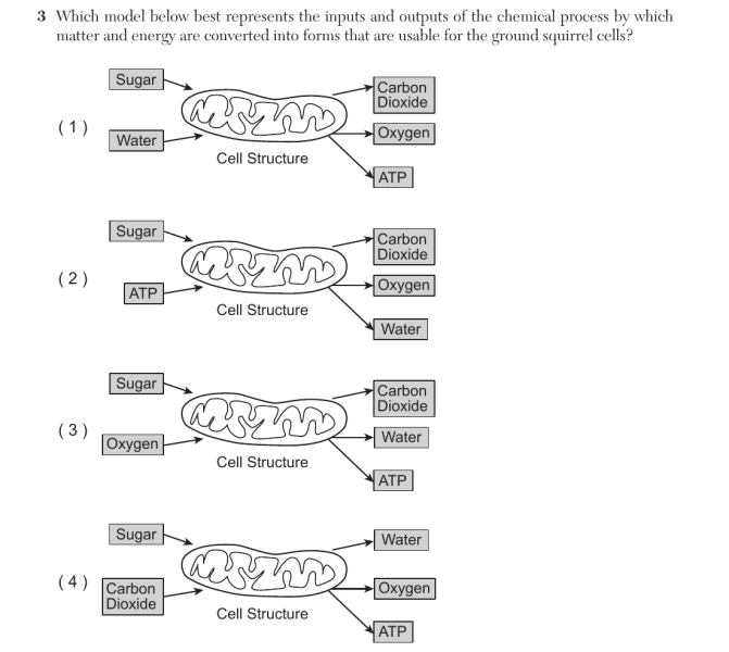 File:Biology Ju26 3.png