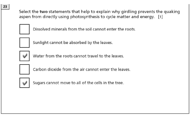 Answer to Question 4