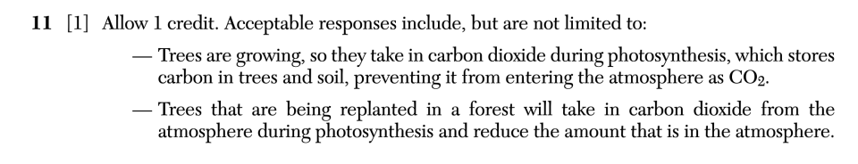 Answer key: June 2025 Earth and Space Sciences Regents question 11, The Carbon Cycle cluster