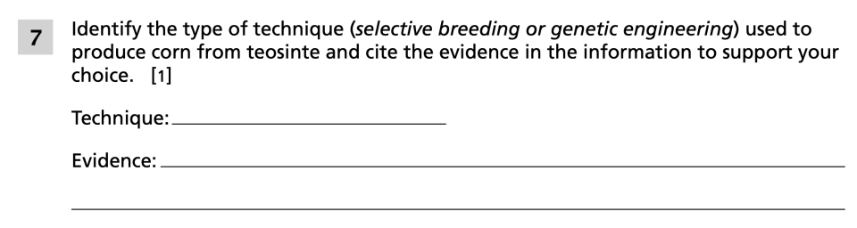 Spring 2024 Grade 8 Science Test question 7, Variation and Corn cluster