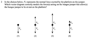 Bungee jumping 2.png