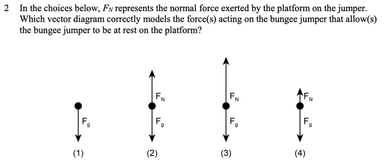 File:Bungee jumping 2.png