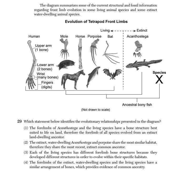 Question 2