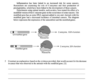 Prostaglandins 5.png