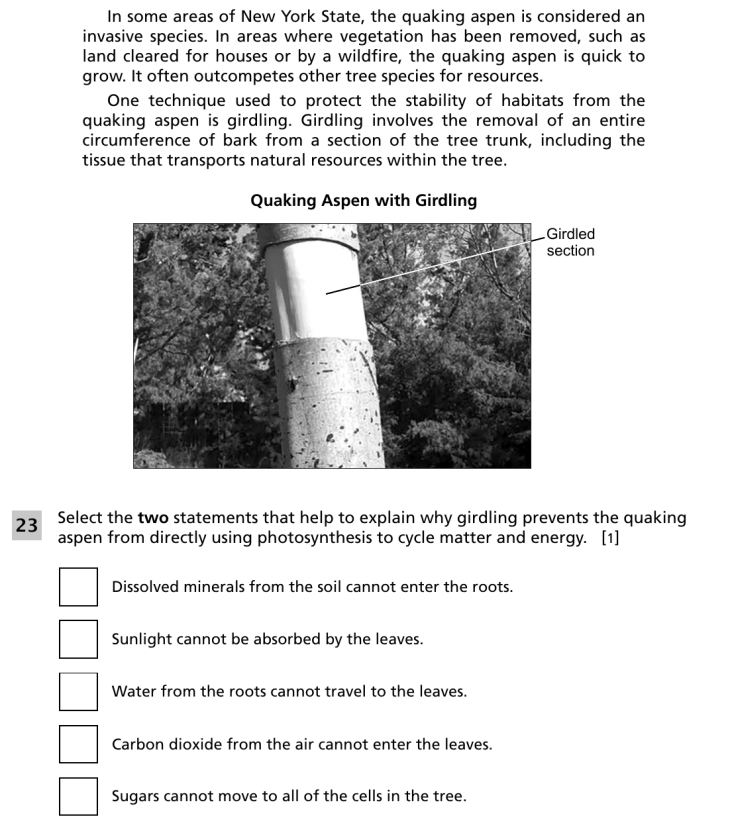 Question 4