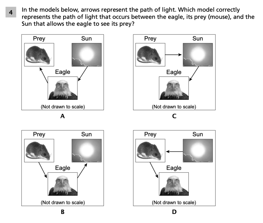 Spring 2024 Grade 5 Science Test question 4, Animal Senses cluster
