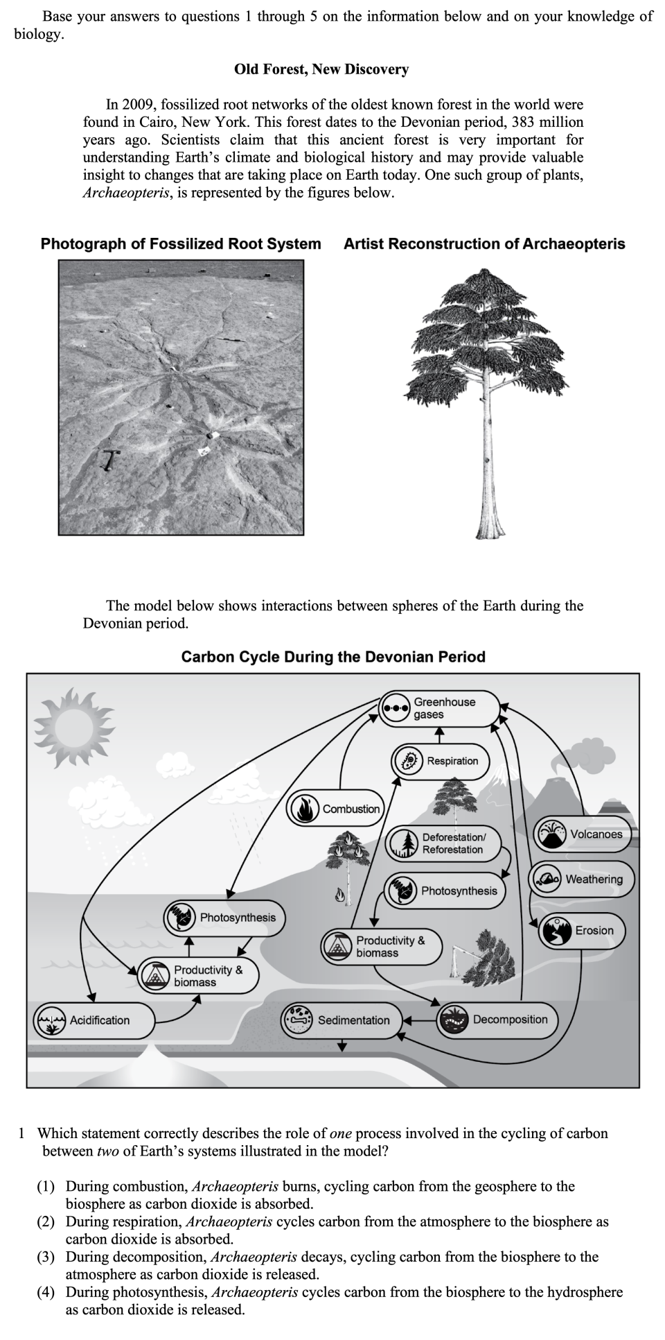Old Forest Sample Cluster, question 1