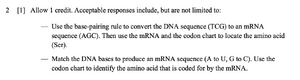 Prostaglandins answer 2.png