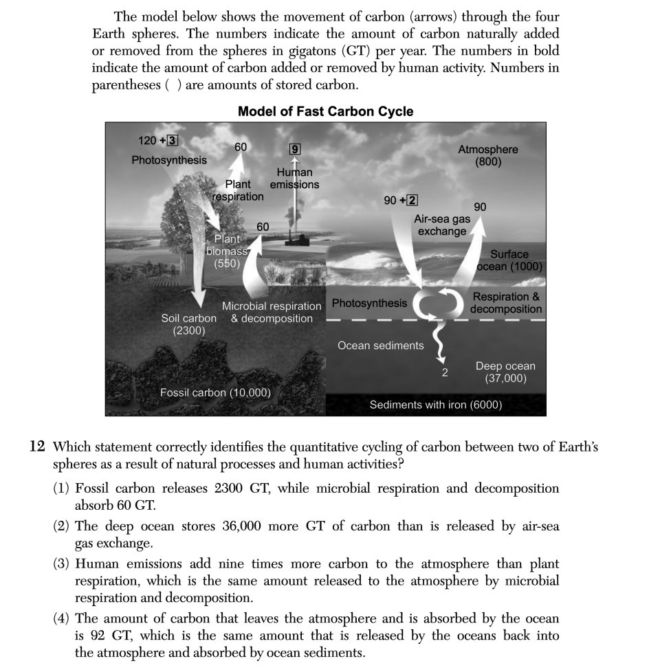 June 2025 Earth and Space Sciences Regents question 12, The Carbon Cycle cluster
