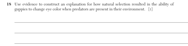Question 2