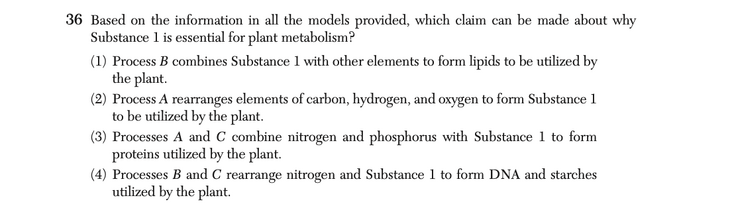 Question 4