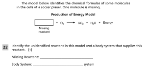 Organ systems and responses 4.png
