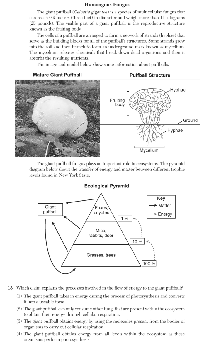 Question 1