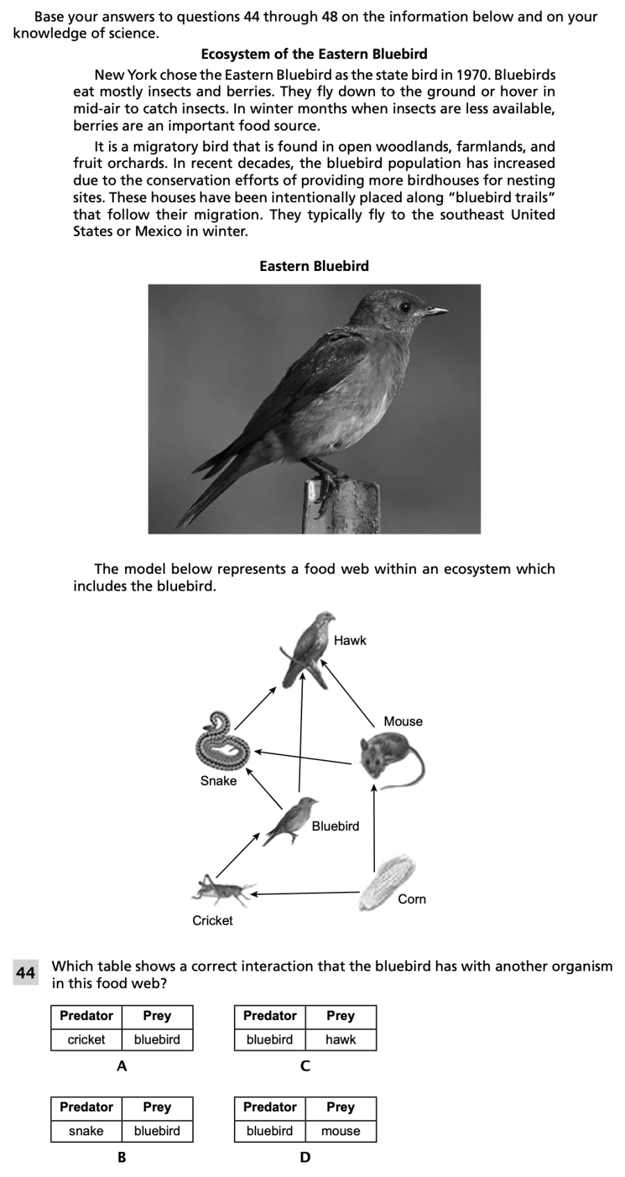 Spring 2024 Grade 8 Science Test question 44, Ecosystem of the Eastern Bluebird cluster