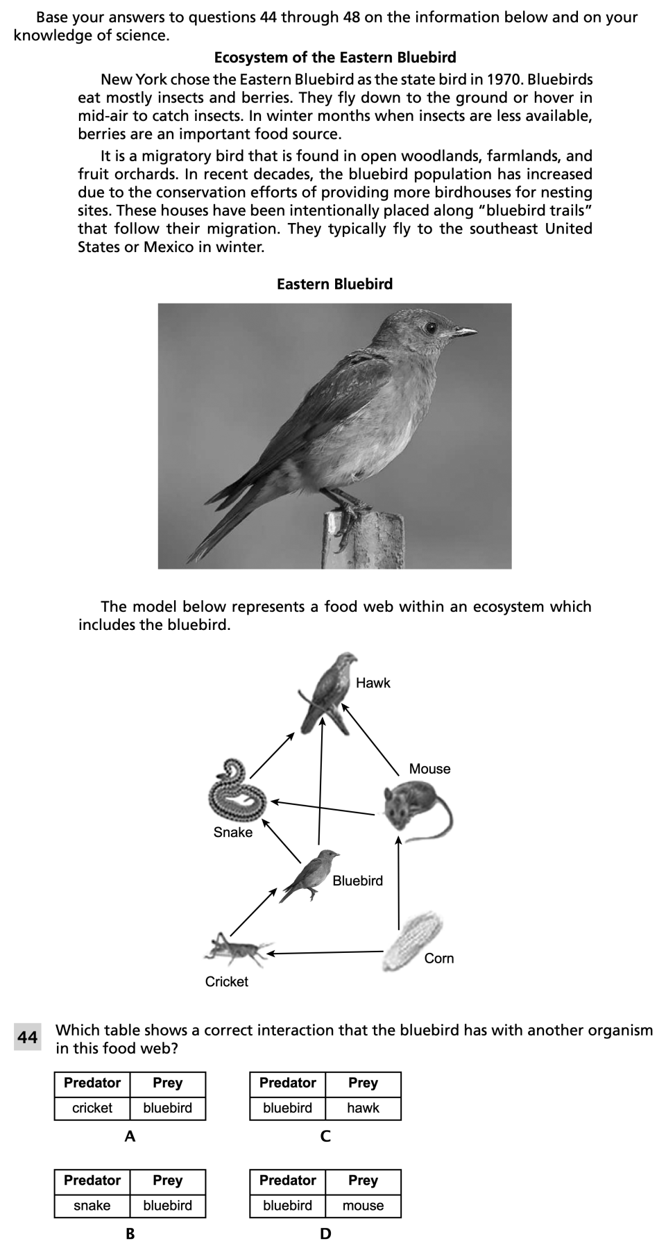 Spring 2024 Grade 8 Science Test question 44, Ecosystem of the Eastern Bluebird cluster