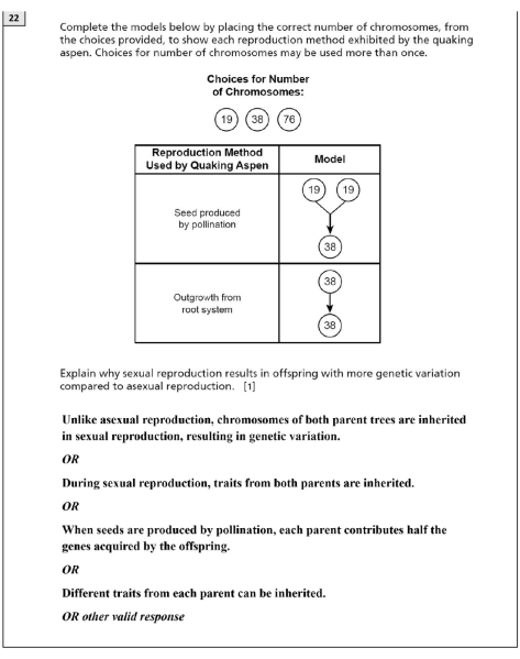 File:MS June 2026 answer 22.png