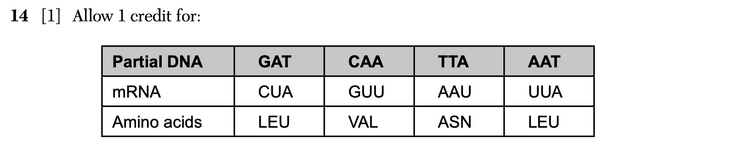 Answer to Question 4