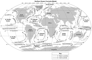 Surface Ocean Currents Model.png