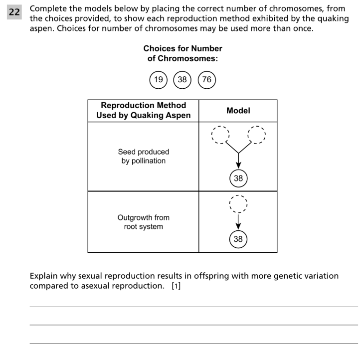 Question 3