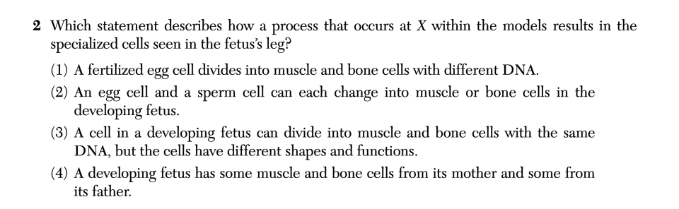 January 2026 Biology Regents question 2, Two Kinds of Twins cluster