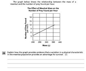 5-6 Meerkats Question 26.png