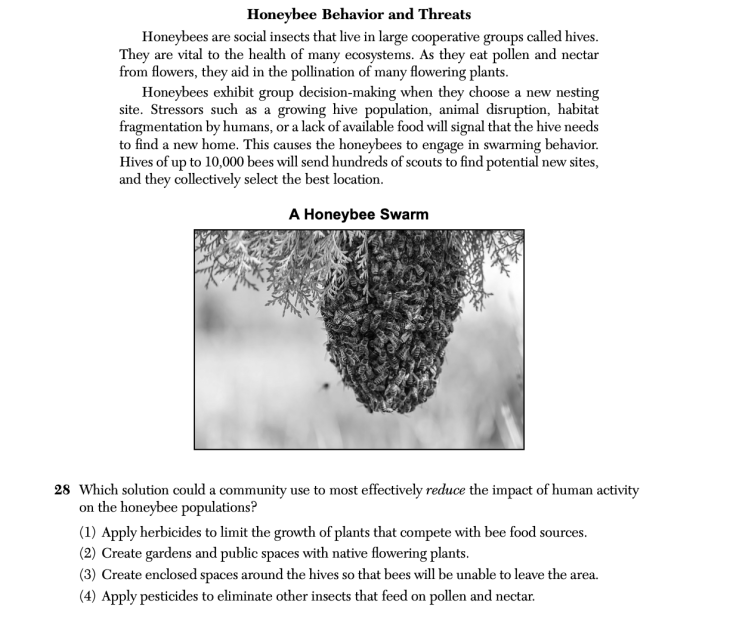 January 2026 Biology Regents question 28, Honeybee Behavior and Threats cluster