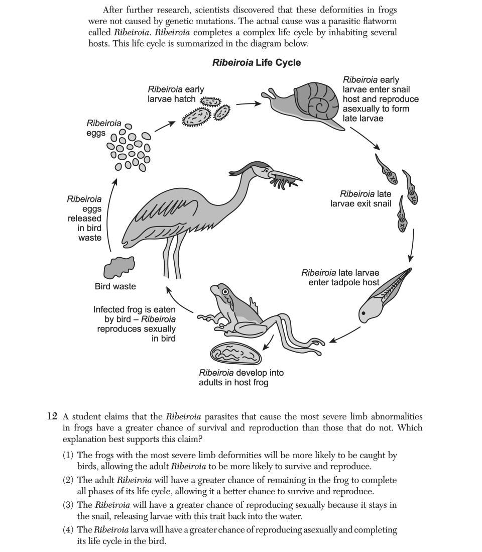 June 2025 Biology Regents question 12, Heads or Tails? cluster