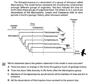 Evolutionary relationships 5.png