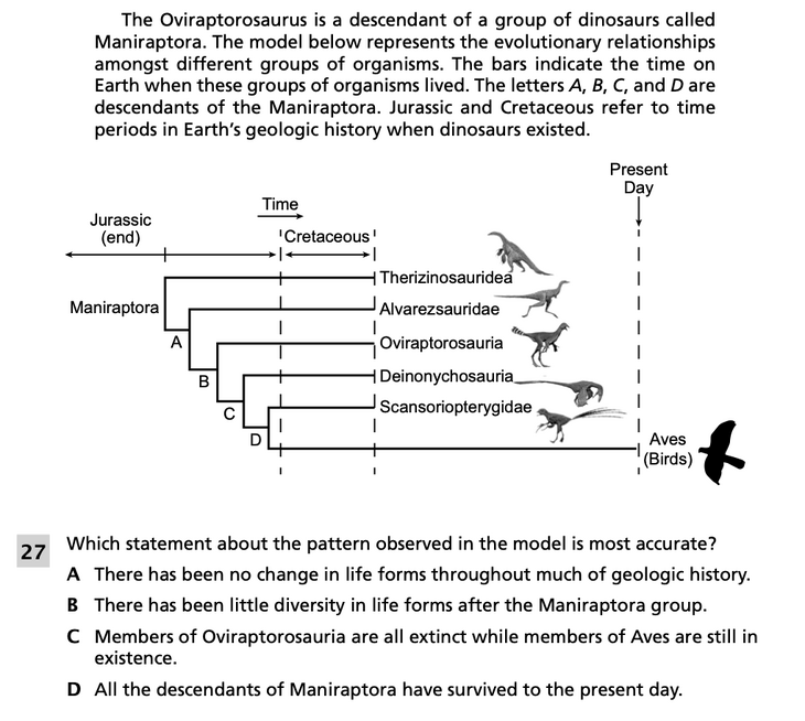 Question 5