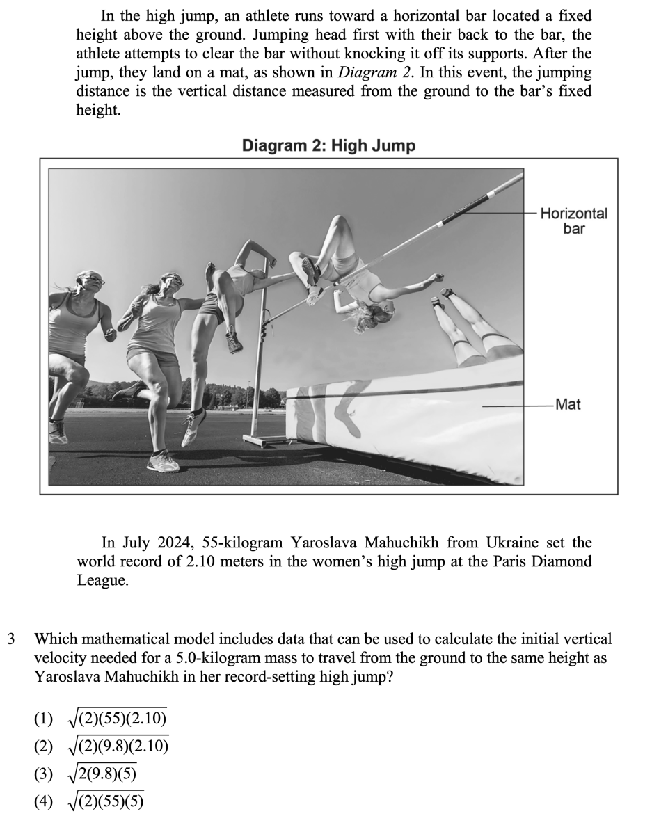 World Record Jumps Sample Cluster, question 3